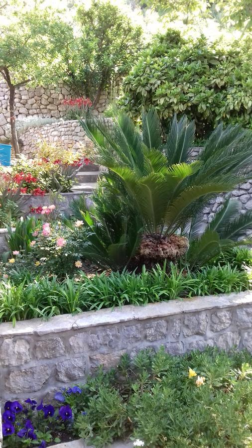Apartment Barica Trsteno Ngoại thất bức ảnh
